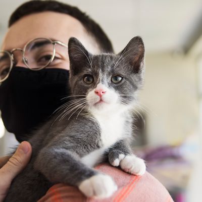 Man wearing a protective mask, holding a gray and white cat