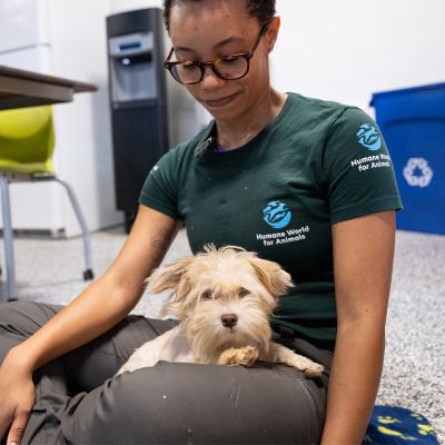 a woman sits with a small dog on her lap