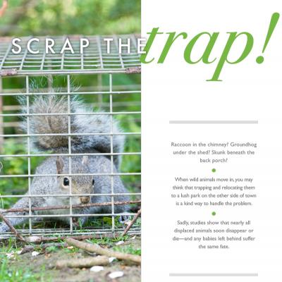 scrap the trap!