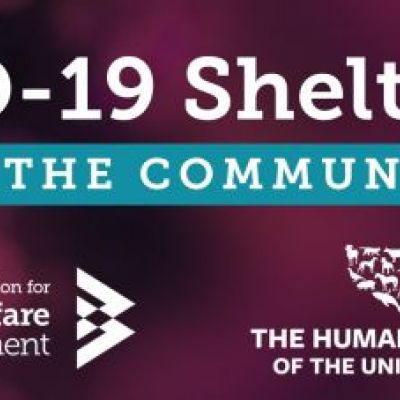 Covid-19 shelter kit for the Community