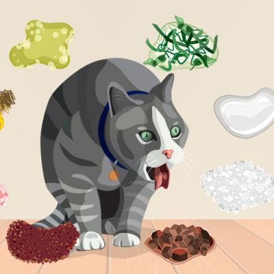 illustration of a retching cat