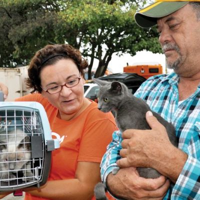 a woman holds up a crate containing a cat next to a man holding another cat