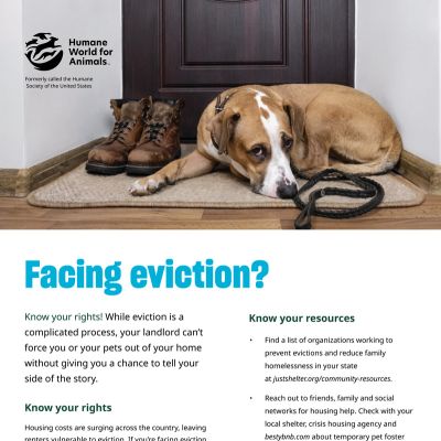 Facing eviction? Don't panic