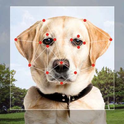 a dog with a layout of dogs over its face