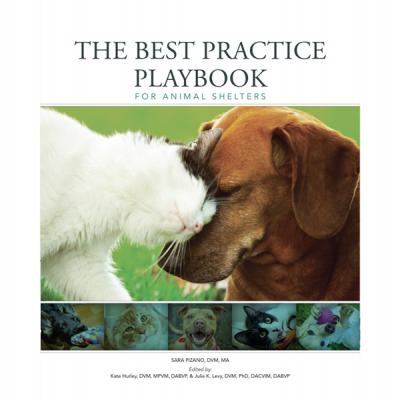 cover of the best practice playbook