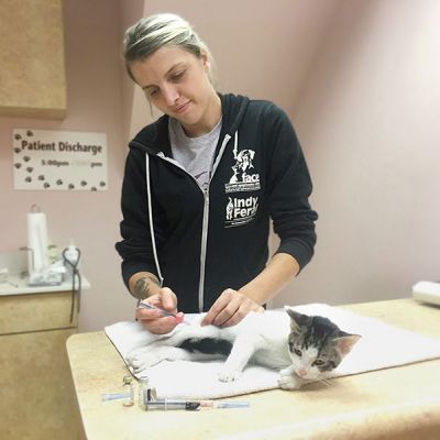 Veterinary technician Adria Johnson vaccinates a community cat at the FACE Animal Clinic in Indianapolis