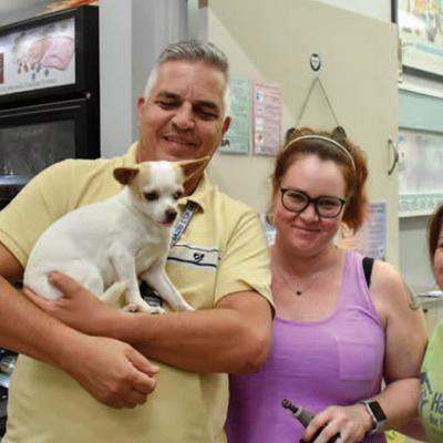 Dog adopted from the Humane Society of Tampa Bay