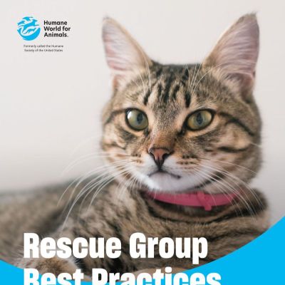 Rescue Group Best Practices Guide