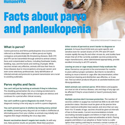 facts about parvo and panleukopenia
