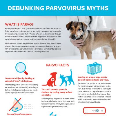 Debunking Parvo Myths factsheet