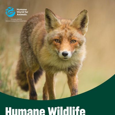 Humane Wildlife Conflict Resolution Guide