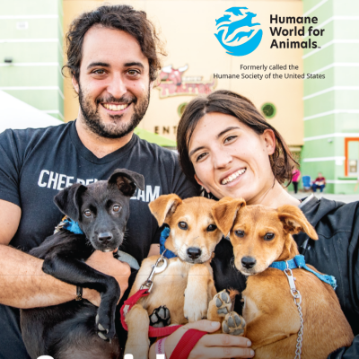 Spanish Phrases for Animal Care Organizations