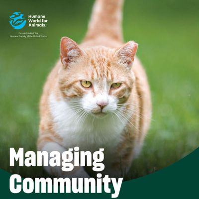 Managing Community Cats