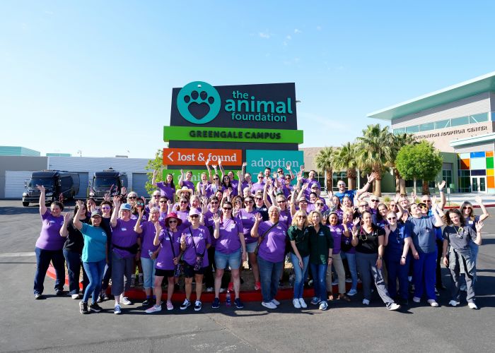 Group of volunteers waiving