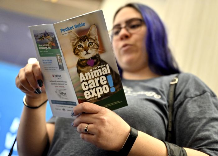 Person looking at a pocket guide