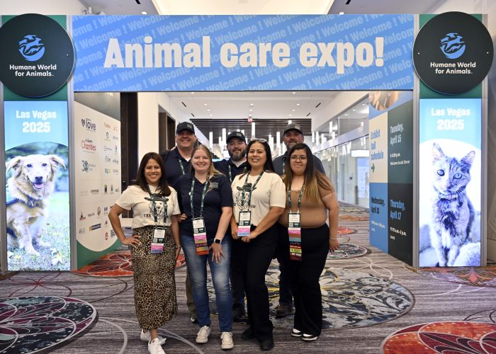 Group of attendees under an Expo sign