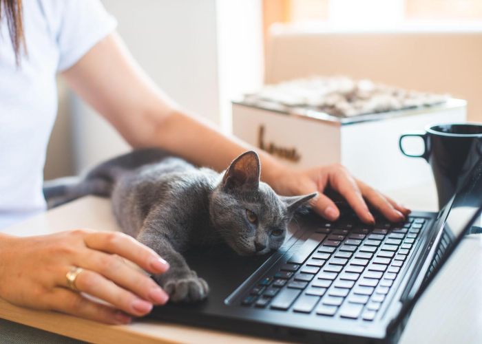 Animal Care Expo HumanePro by The Humane Society of the United States