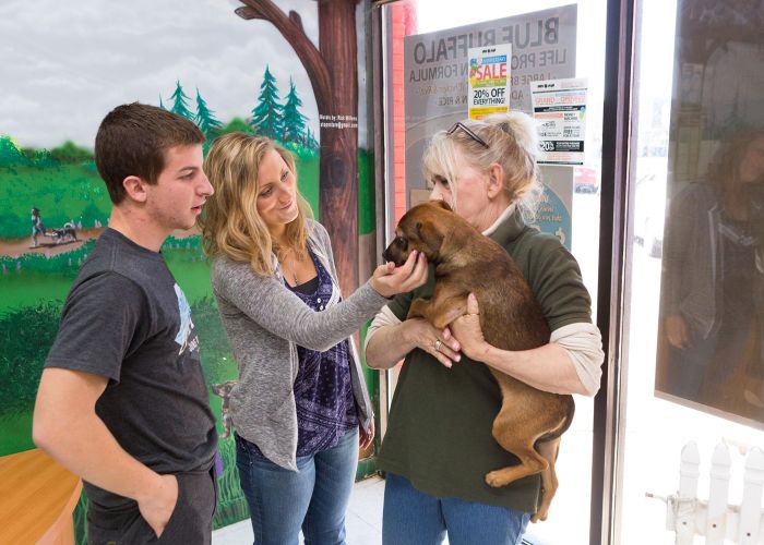 two people greet a dog being held by a woman