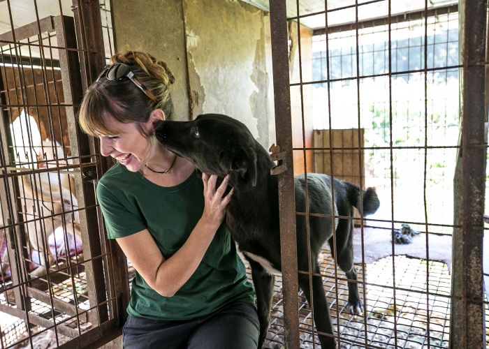 a woman smiles as a dog licks her face
