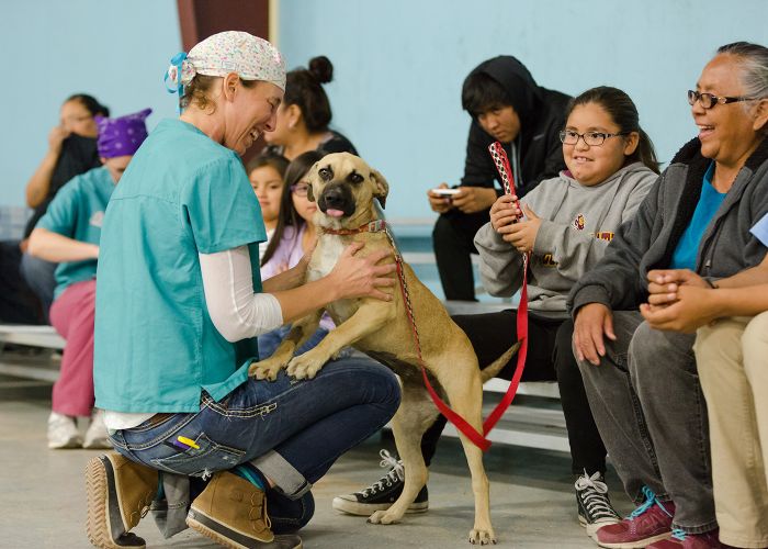 Ahne Simonsen greets a dog at a field clinic at the San Carlos Apache Reservation.