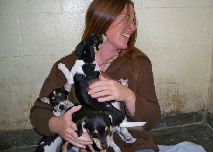 a woman laughing as she holds a group of puppies on her lap