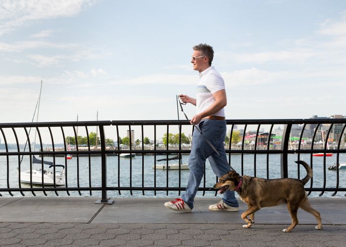 a man walking a dog along a bridge