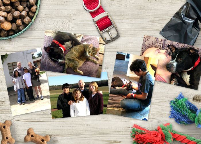Collage showing family photos on a wooden table surrounded by pet items.