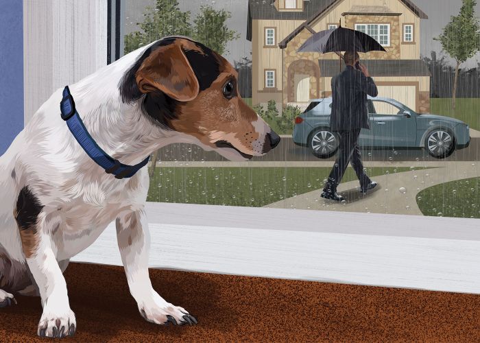 Illustration of a sad dog watching his owner leave the house.