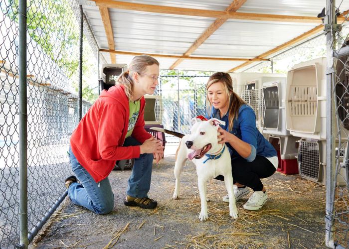 two women kneel alongside a dog in a kennel