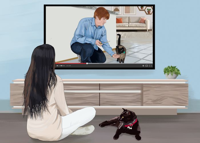 illustration of a woman and her cat watching a training video