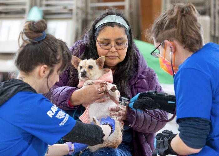 Brandi Markishtum holds pup Lola for a veterinary exam by veterinarian Colleen Cassidy, right, and veterinary assistant Sara Michelassi during the RAVS clinic serving the Quinault Nation.