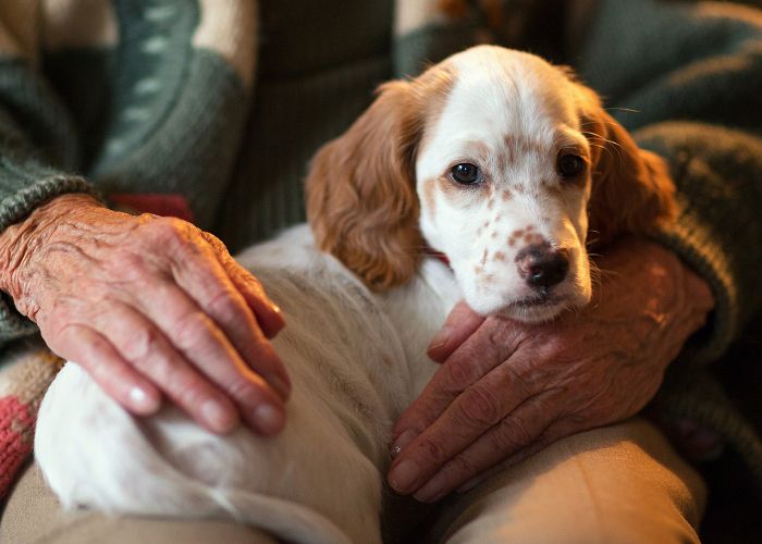 Photo of a puppy being held by a senior.