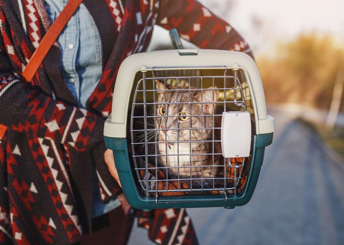 Woman carrying a pet carrier containing a cat.