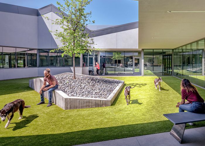 Shelter design | HumanePro by The Humane Society of the United States Shelter design | HumanePro by The Humane Society of the United States