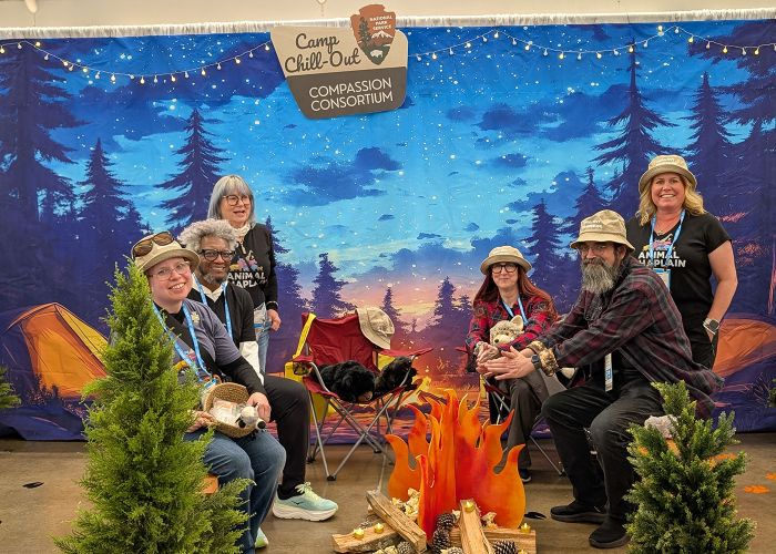 a group of people gathered around a pretend camp fire