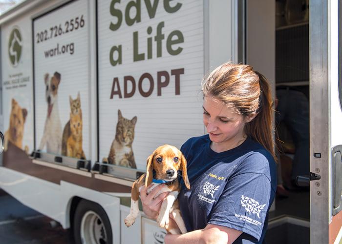 Rescue Groups | HumanePro By The Humane Society Of The United States