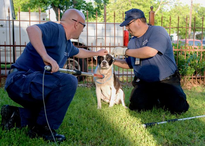 two men demonstrate how to use a control pole on a dog