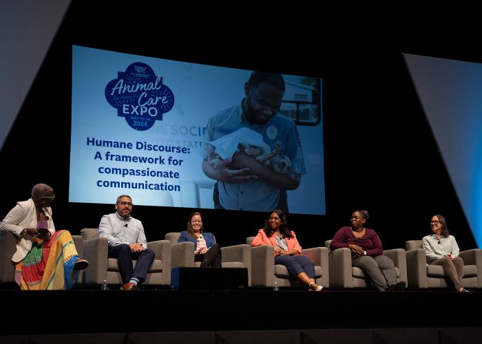 a group of six people sit in chairs on a stage