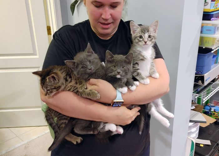 a woman holding four kittens
