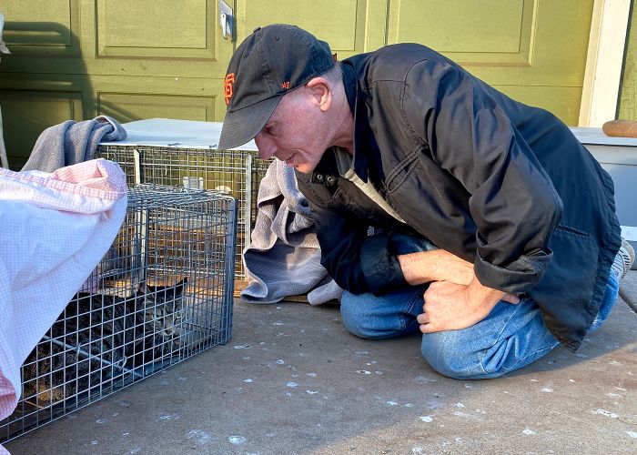 a man kneels in front of a cat in a humane trap