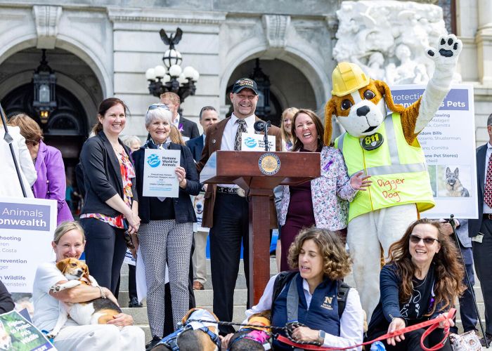 a group of people and animals gathered around a podium