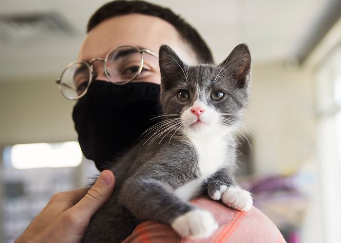 Man wearing a protective mask, holding a gray and white cat