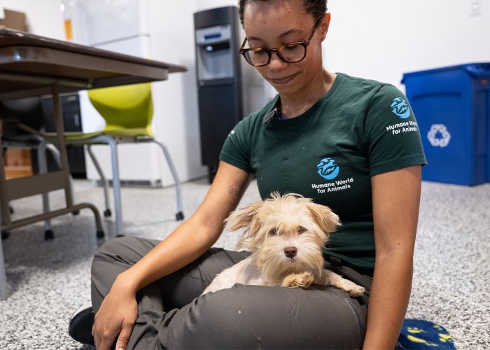 a woman sits with a small dog on her lap