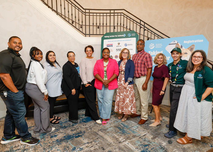 a diverse group of people posing in front of a staircase