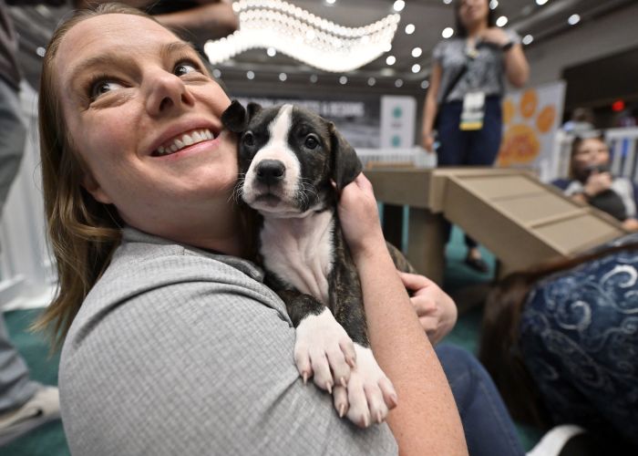 Woman holding a puppy