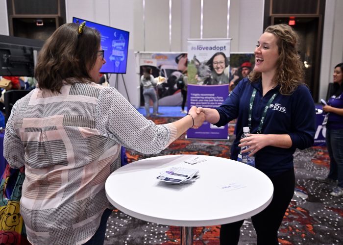 Two women shaking hands