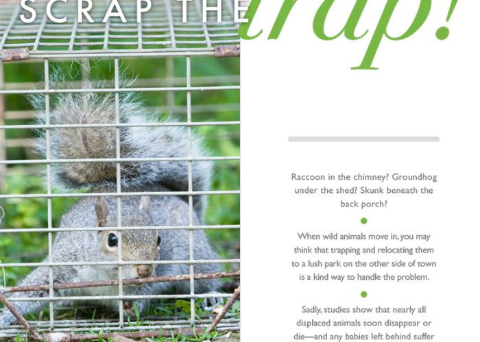 scrap the trap!