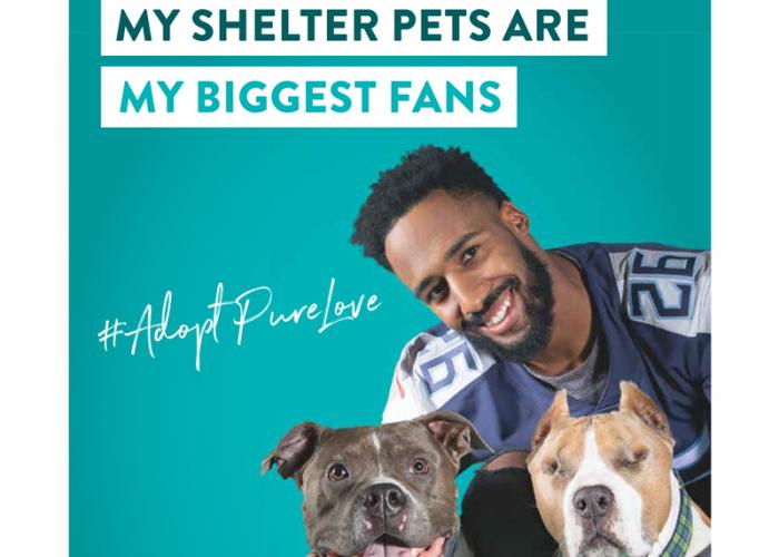 My shelter pets are my biggest fans