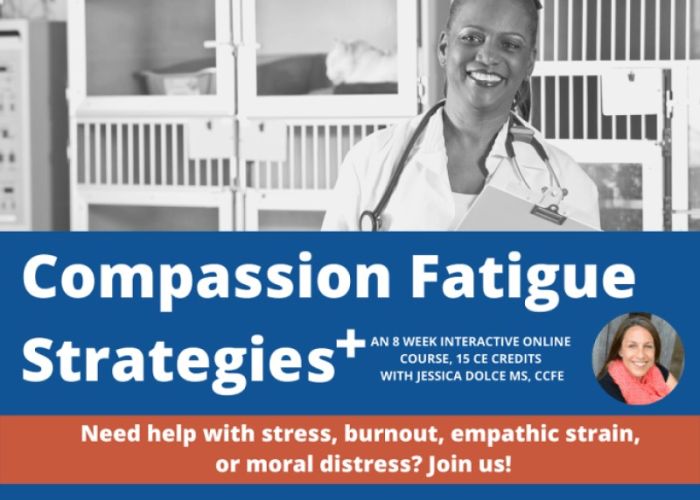 Compassion Fatigue Strategies