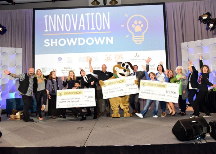 a group of innovation showdown winners gathered on stage holding checks